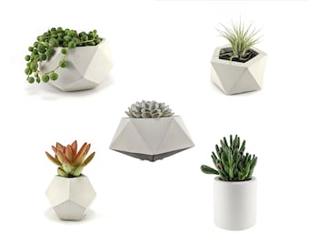 Geometric indoor planter set, Build your own combination set, Industrial planter set, Concrete planter set in grey and white, succulent pot