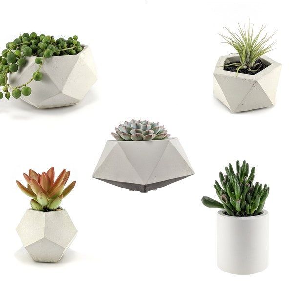 Geometric indoor planter set, Build your own combination set, Industrial planter set, Concrete planter set in grey and white, succulent pot