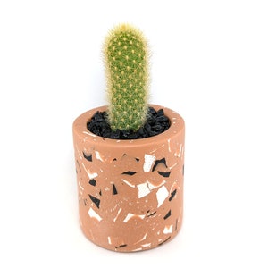 Terrazzo succulent planter, Cutlery holder, Pencil holder, Succulent pot for indoor plants,Cactus pot, Terrazzo pot,Geometric modern planter image 7