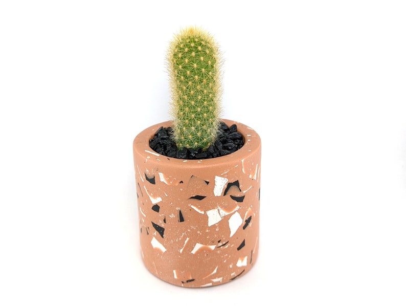 Terrazzo succulent planter, Cutlery holder, Pencil holder, Succulent pot for indoor plants,Cactus pot, Terrazzo pot,Geometric modern planter image 7