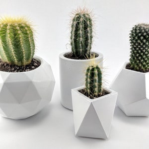 Geometric concrete succulent planter set of 4, Handmade plant pots with tray for indoor plants, Pots for indoor houseplants image 3