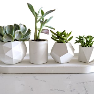 Geometric concrete succulent planter set of 4, Handmade plant pots with tray for indoor plants, Pots for indoor houseplants image 6