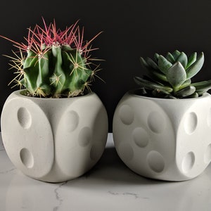Dice succulent planter made of concrete, cubic dice shaped plant pot