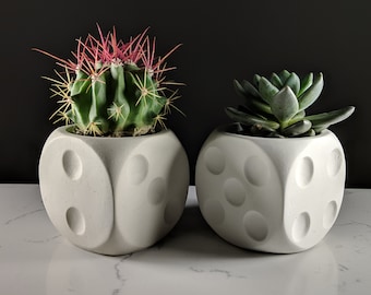 Dice succulent planter made of concrete, cubic dice shaped plant pot