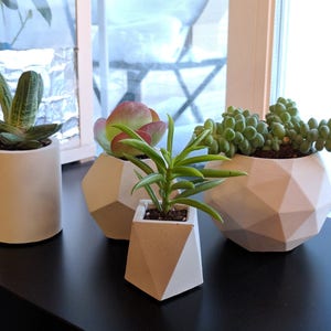 Geometric concrete succulent planter set of 4, Handmade plant pots with tray for indoor plants, Pots for indoor houseplants image 5