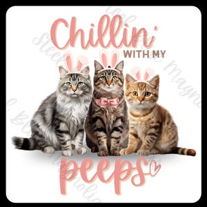 Op de afbeelding: Drie katten met roze konijnenoren zitten bij elkaar. De katten zijn een tabby, een calico en een bruine tabby. De tekst "Chillin' with my peeps" staat in roze letters onder de katten.