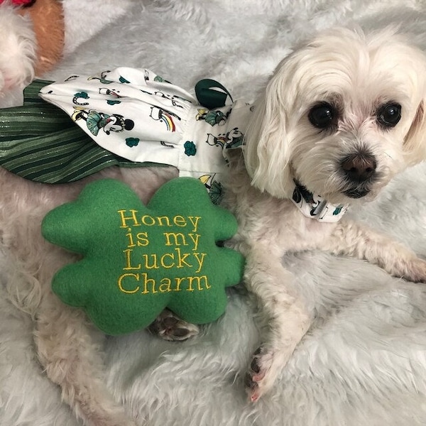 Shamrock Custom DOG Toy, Personalized Four Leaf Clover Squeaky Toy- St Patty's Day Gift for Dog Lover, Dogs and Puppies