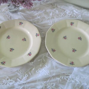 Pair of Vintage French Farmhouse Faience Transferware Floral Ceramic Plates by Sarreguemines c1920 Nordic Style, Shabby Decor