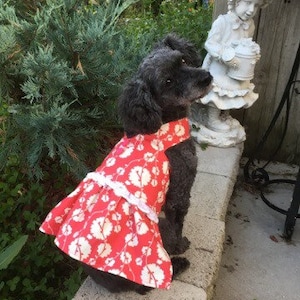 Dog Dress multiple choices
