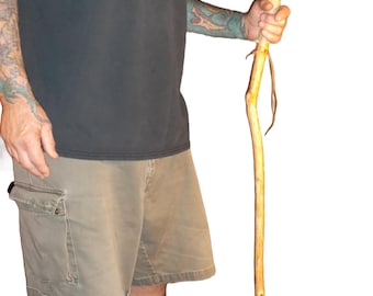 Tennessee Walking Stick- Wood Hiking Stick Staff Hike Pole Hand Carved Cane # 80