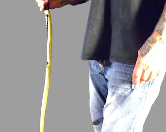 Tennessee Walking Stick- Wood Hiking Stick Staff Hike Pole Hand Carved Cane #4