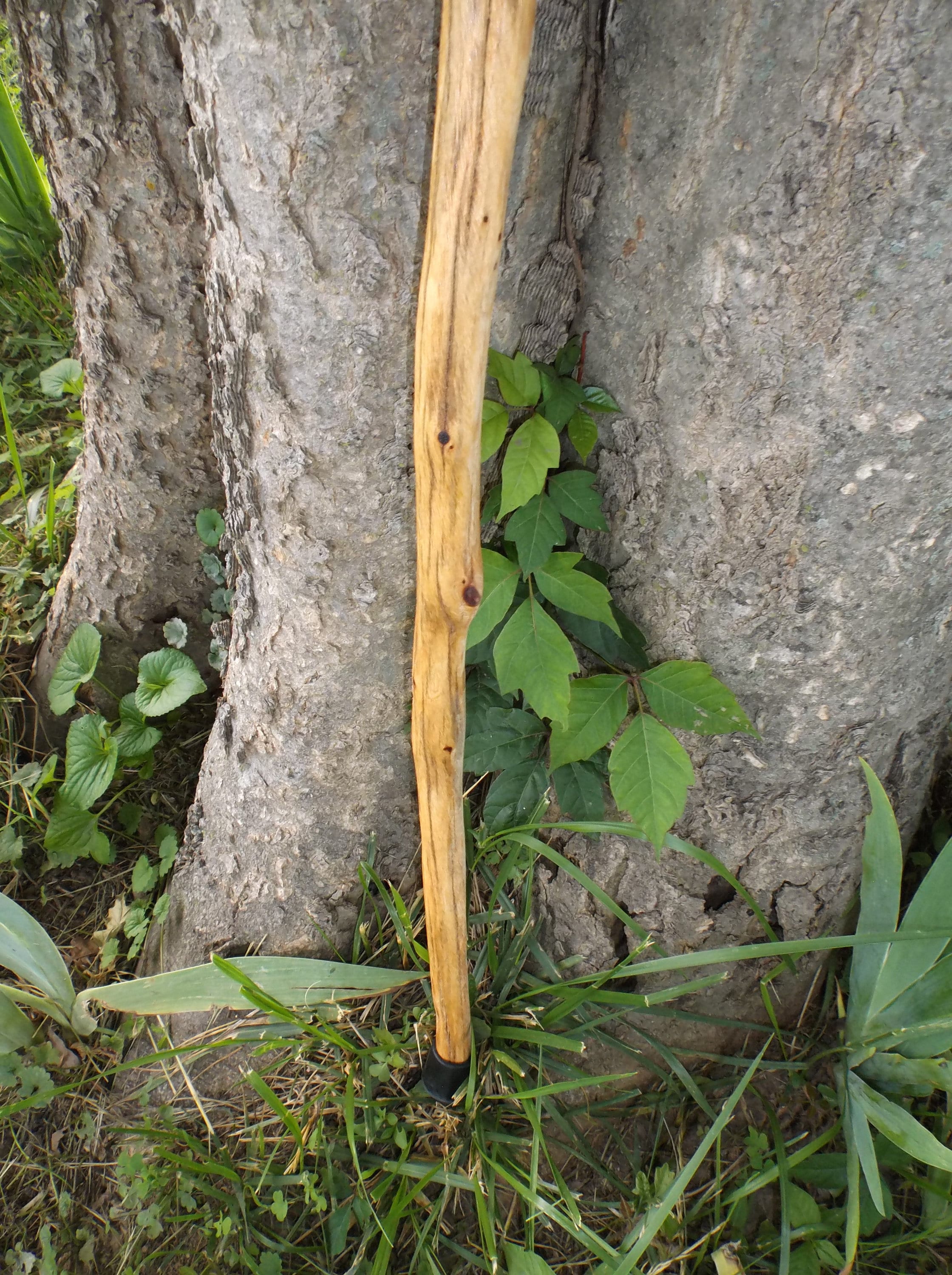 Tennessee Walking Stick Wood Hiking Stick Staff Hike Pole Hand Carved