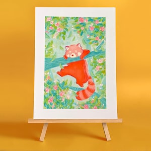 Red Panda Gouache Landscape Illustration 6x8" or A4 ART PRINT