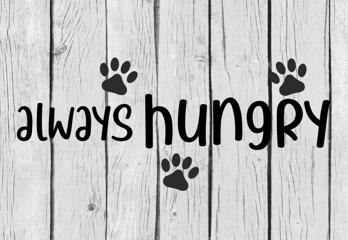 Dog Bowl Quote SVG Cutting File Always Hungry Etsy