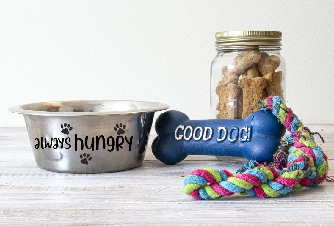 Dog Bowl Quote SVG Cutting File Always Hungry Etsy