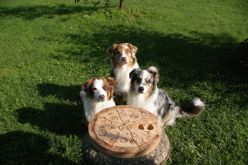 Handmade wooden interactive dog treats puzzle toy and feeder - McPaw's Pizza Spin