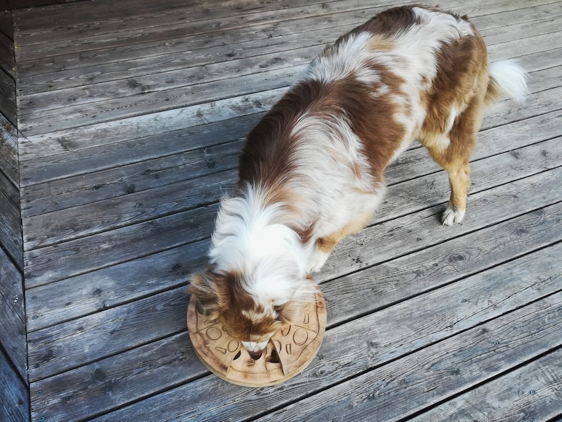 Handmade wooden interactive dog treats puzzle toy and feeder - McPaw's Pizza Spin