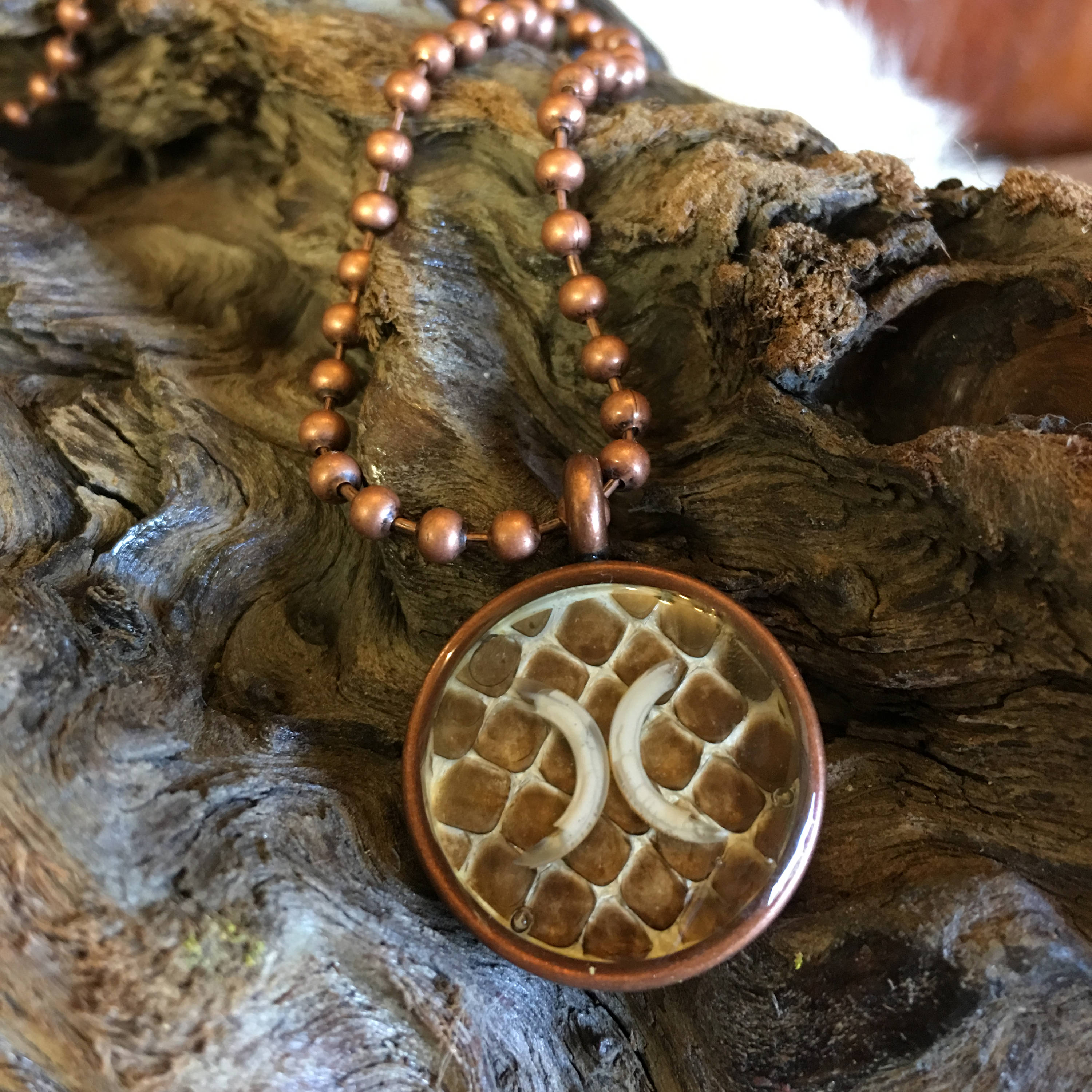 Real Snake Shed & Teeth Pendant Necklace Bone Jewelry Resin Etsy