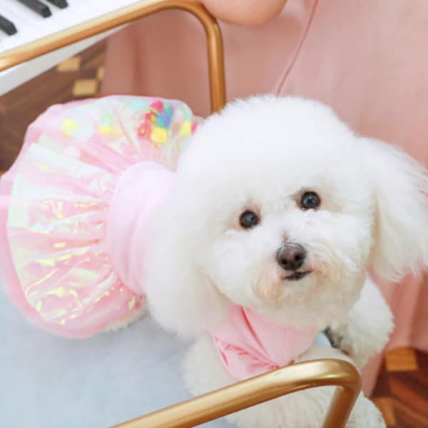 Dog Wedding Dress Etsy