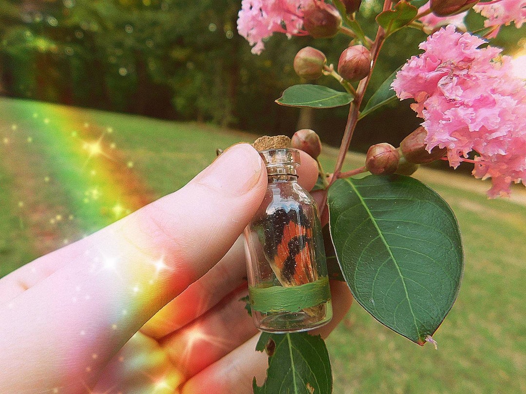 Fly High Gift Fly High Pendant - Etsy