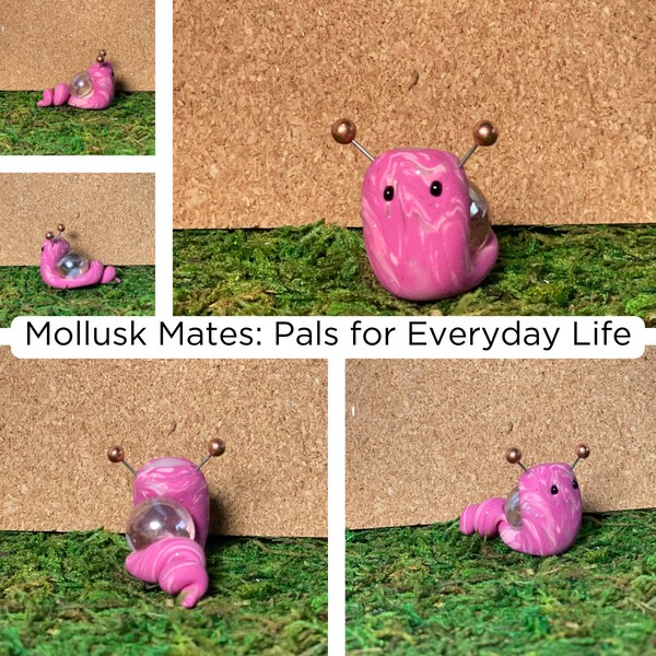 Mollusk Mates: Pals for Everyday Life | Polymer Clay, Snail, Home Decor, Gift, Miniatures, House Plant, Desk Buddy, Adoption Certificate