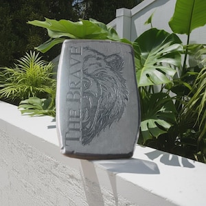 The Brave 1oz 999fs solid silver bar.