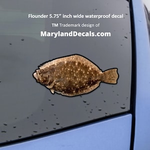 FLOUNDER Fluke FISH Decal Sticker Waterproof Vinyl for Cars Trucks Boats Outdoor