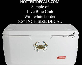 thumbnail image 2 of Sunset Crab Vinyl Decal Sticker – Perfect For Car, Boat, Fishing, Beach Vibes (USA Made) 2 of 4