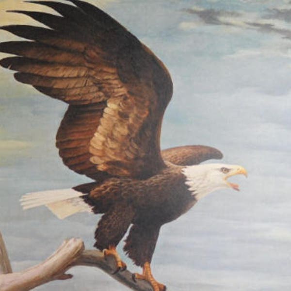 The Bald Eagle - Our National Emblem, vintage print by Bob Hines, perfect gift for an Eagle Scout, animal or nature lover, frameable art
