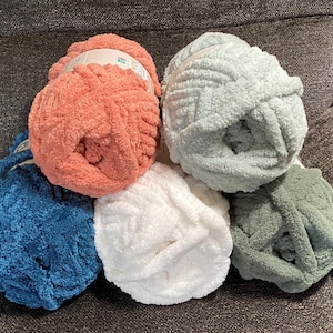 Può includere: Cinque gomitoli di filato tipo ciniglia, spesso e morbido, disposti in gruppo. I colori includono un corallo vivace, un verde menta pallido, un blu navy profondo, un bianco brillante e un verde salvia. Ogni gomitolo ha un'etichetta di carta.