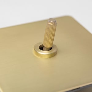 May include: A gold-coloured light switch with a round, brushed metal knob.