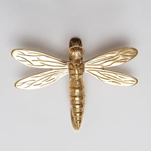 May include: A polished gold-toned metal dragonfly door knocker featuring intricate wing vein detailing and a segmented body. The insect-shaped hardware has a smooth, reflective surface and a symmetrical design with four extended wings.