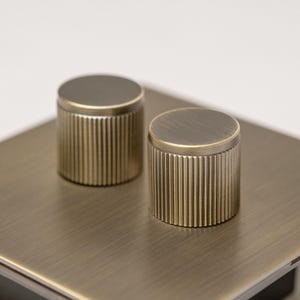 May include: Two round, brushed brass dimmer knobs with a ribbed design. The knobs are mounted on a brushed brass plate.