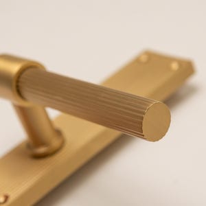 May include: A brushed gold metal door handle featuring a cylindrical, horizontally ribbed grip attached to a rectangular backplate. The backplate has visible screw holes at both ends, and the entire hardware piece has a consistent matte finish.