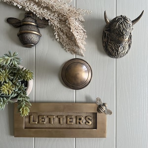 May include: A collection of bronze-toned door hardware and decor. Includes a bee-shaped door knocker, a Highland cow head, a round doorbell, and a rectangular letterbox with the word "LETTERS". Decorative dried grasses and a potted succulent are also present.
