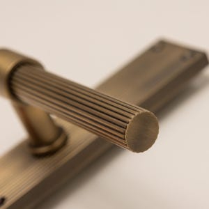 Peut inclure: Une tasse en céramique blanche avec une anse noire et l'inscription "But First, Coffee" en gras noir. La tasse est posée sur un fond flou. La tasse mesure environ 10 cm de hauteur.