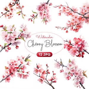 Aquarell Kirschblüte Clipart, 12 hochwertige JPG, Sakura Blume, Kartenherstellung, Mischtechnik, digitales Papiermodell, digitaler Download