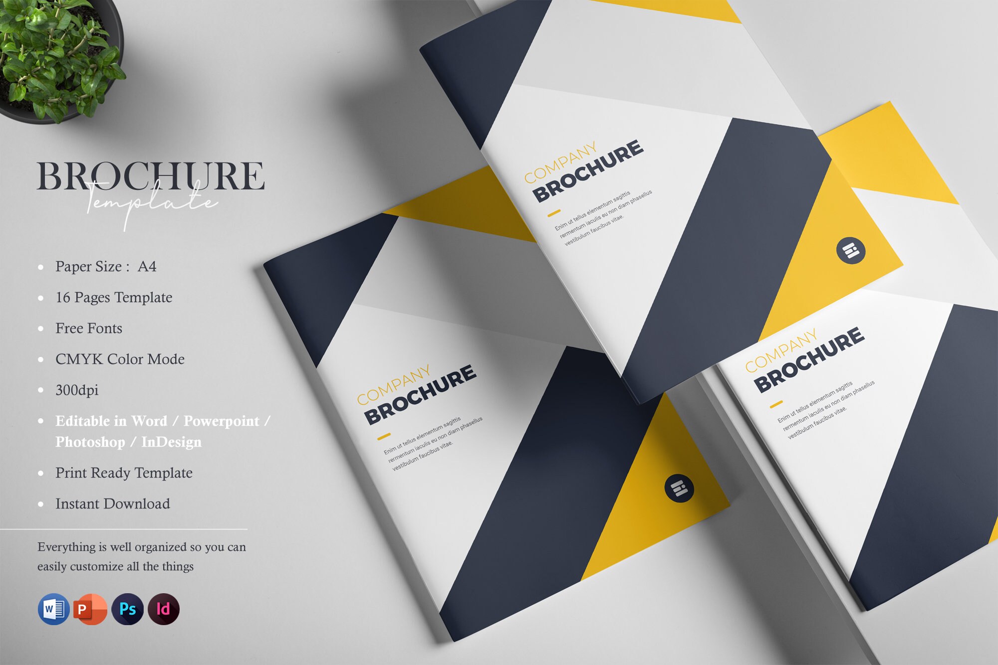Business Brochure Template Word Template Indesign, PPTX &amp; Photoshop ...