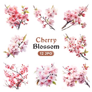 Aquarell Kirschblüte Clipart, Sakura Blume JPG, Wandkunst, Aquarell Landschaft Scrapbooking, digitaler Download-kommerzielle Nutzung