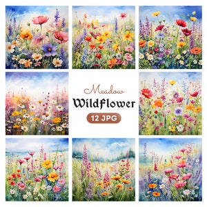 Clipart prairie de fleurs sauvages, 12 JPG haute qualité, aquarelle de fleurs sauvages des cliparts, techniques mixtes, téléchargement numérique - usage commercial