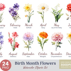 Clipart aquarelle fleur mois de naissance, 24 fleur de naissance PNG, clipart fleur mois de naissance, téléchargement numérique-usage commercial