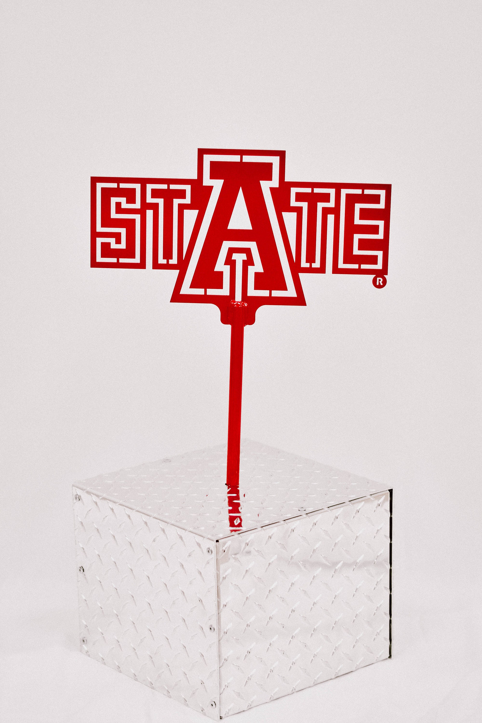 Desert Cactus Texas State University Graduate Sign House 12 Inches X 18 Inches With Stakes Graduating (Grad Sign 3