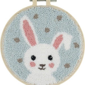 Kaninbroderihålnålskit