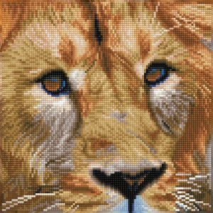 Serengeti Magic Diamond Painting Kit