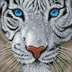 White Magic Diamond Painting Kit
