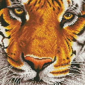 Bengal Magic Diamond Painting Kit