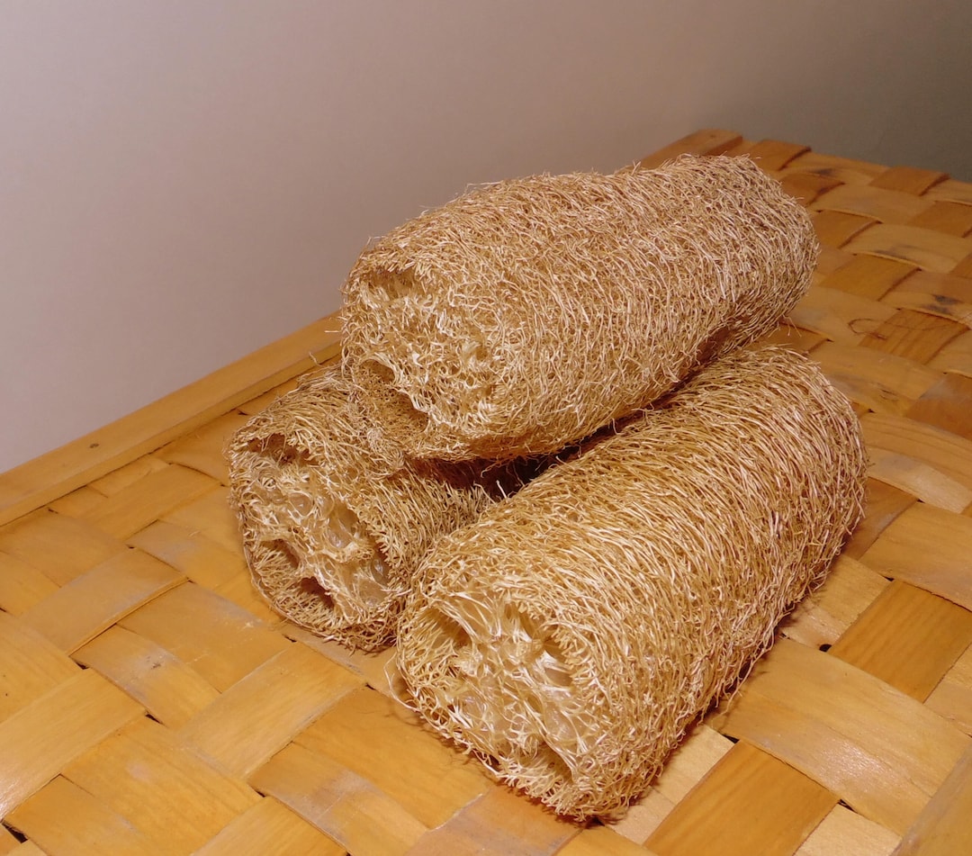 Lot of Natural Organic Large Loofah Chews for Chinchillas, Parrots