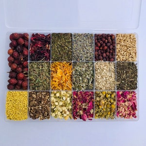 Large Organic Treat Assortment - 17 Treats - Chinchilla FREE SHIPPING