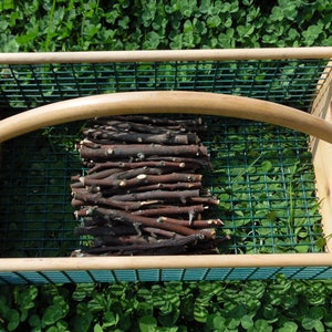 Natural Organic Apple Chew Sticks - 30 Sticks - Kiln Dried - Chinchilla, Guinea Pig, Rabbit