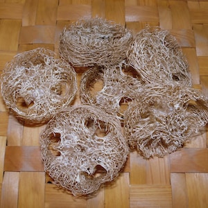 May include: A group of six natural loofahs, also known as vegetable sponges, in various sizes and shapes. The loofahs are light brown and have a delicate, intricate network of fibers.